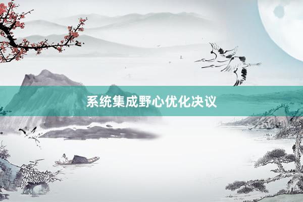 系统集成野心优化决议
